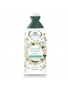 L'ANGELICA OFFICINALIS...