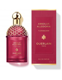 ABSOLUS ALLEGORIA... 2